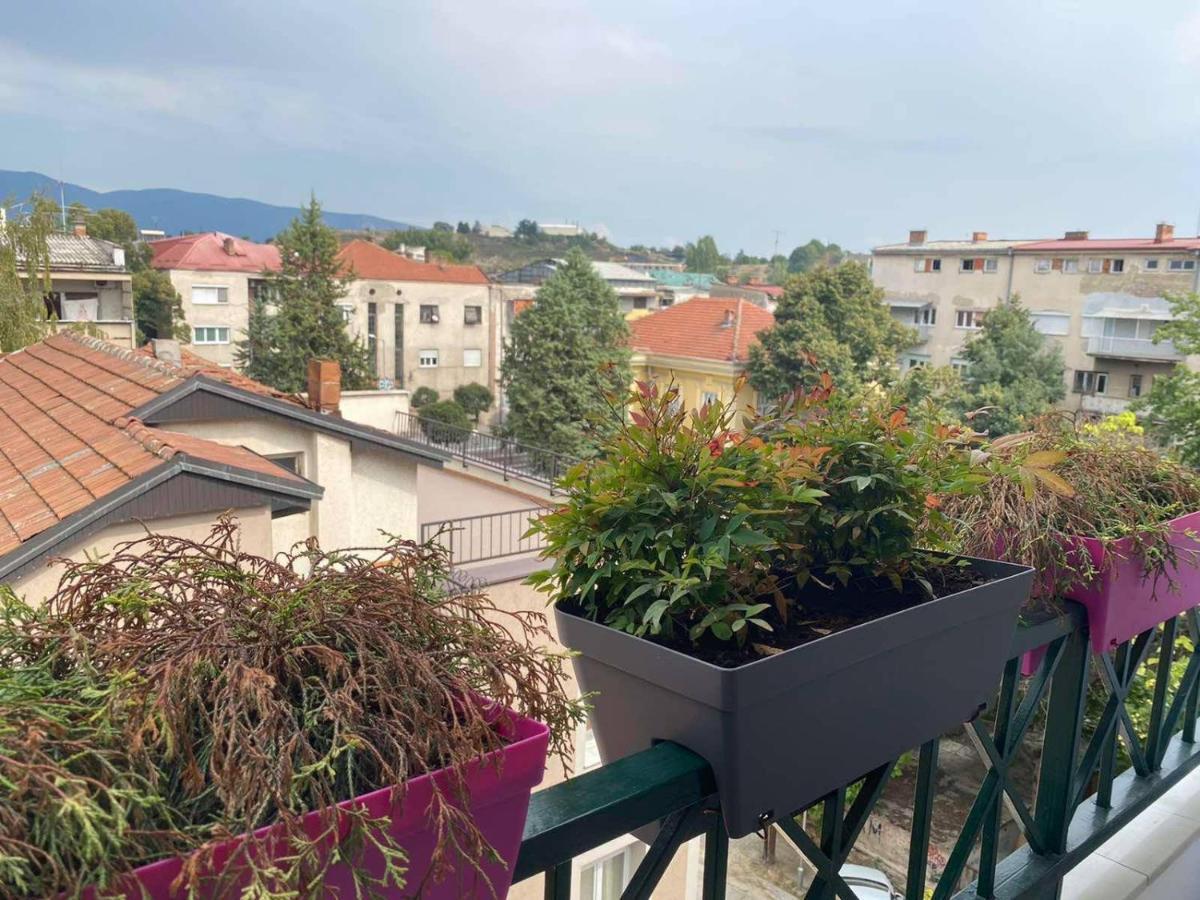 Velvet Apartment Skopje Eksteriør billede